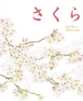 さくら