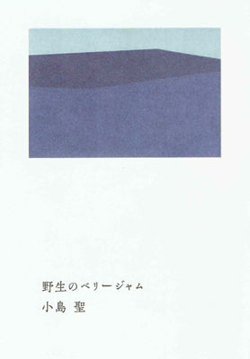 野生のベリージャム