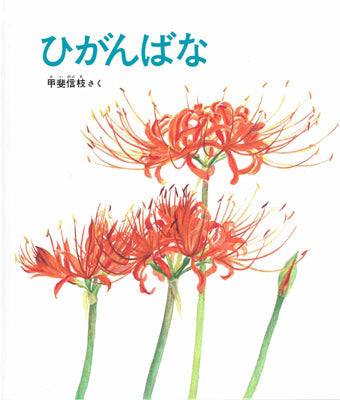 ひがんばな