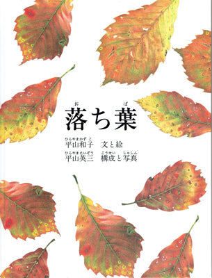 落ち葉