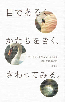 目であるく、かたちをきく、さわってみる。