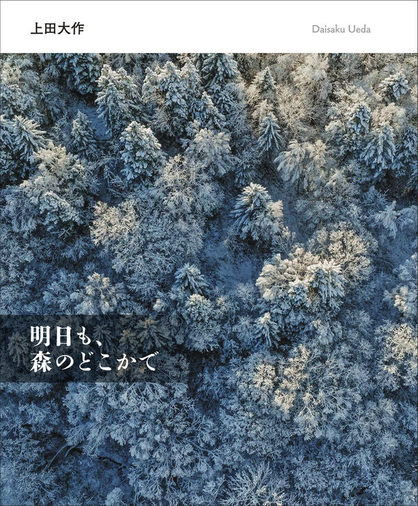 明日も、森のどこかで