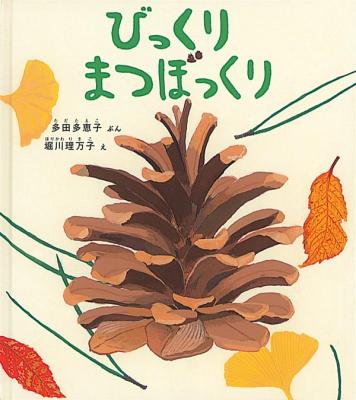 びっくりまつぼっくり