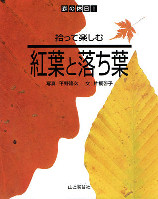 拾って楽しむ 紅葉と落ち葉