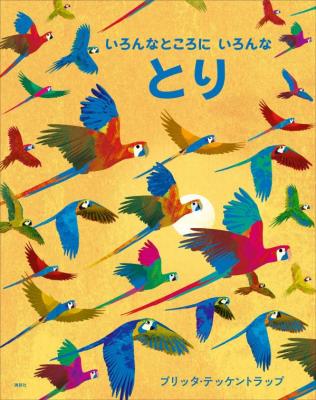 いろんなところにいろんなとり