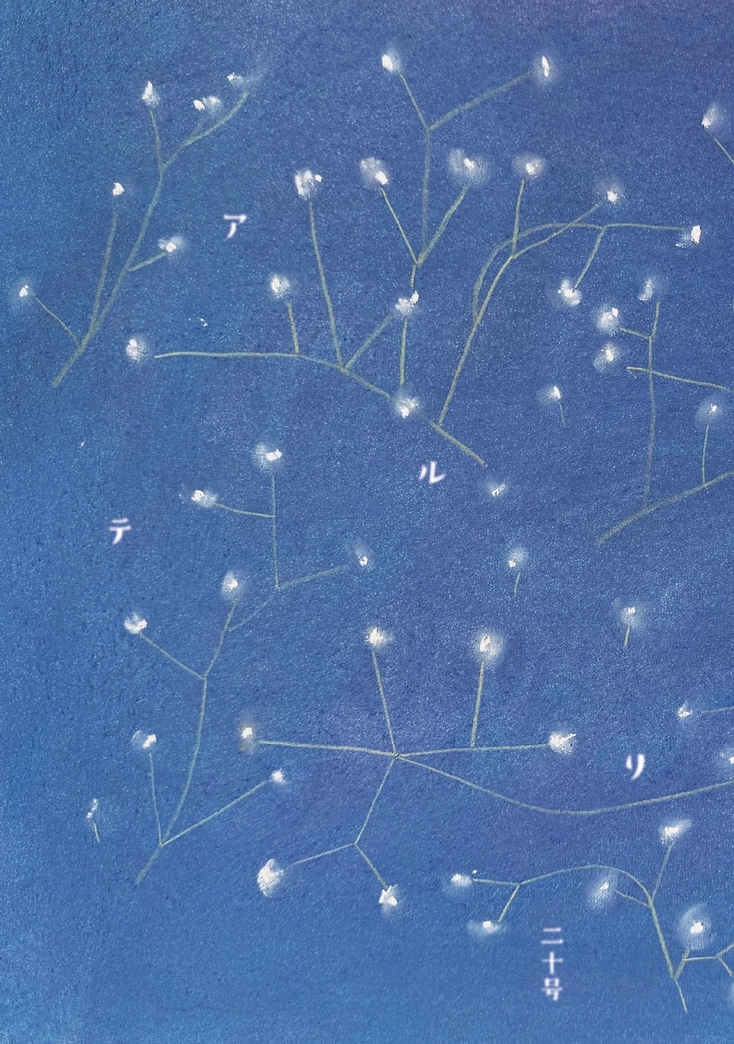 アルテリ 二十号