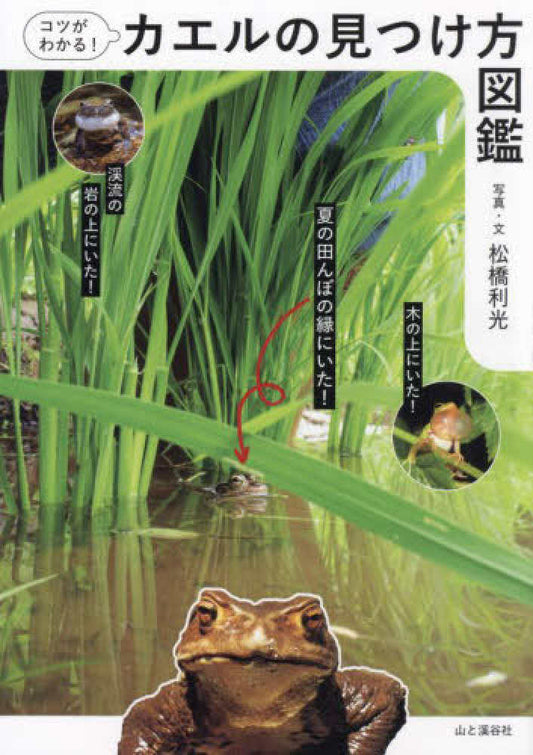 コツがわかる!カエルの見つけ方図鑑