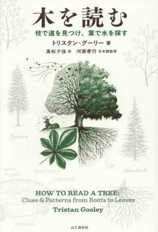 木を読む