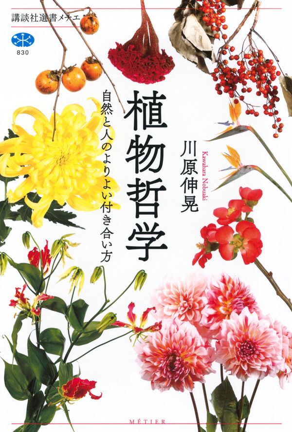 植物哲学