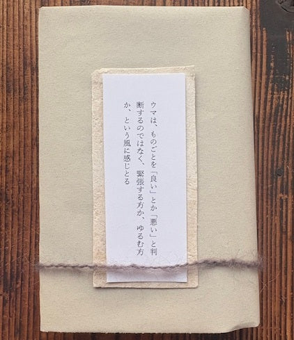 いちぶん文庫A